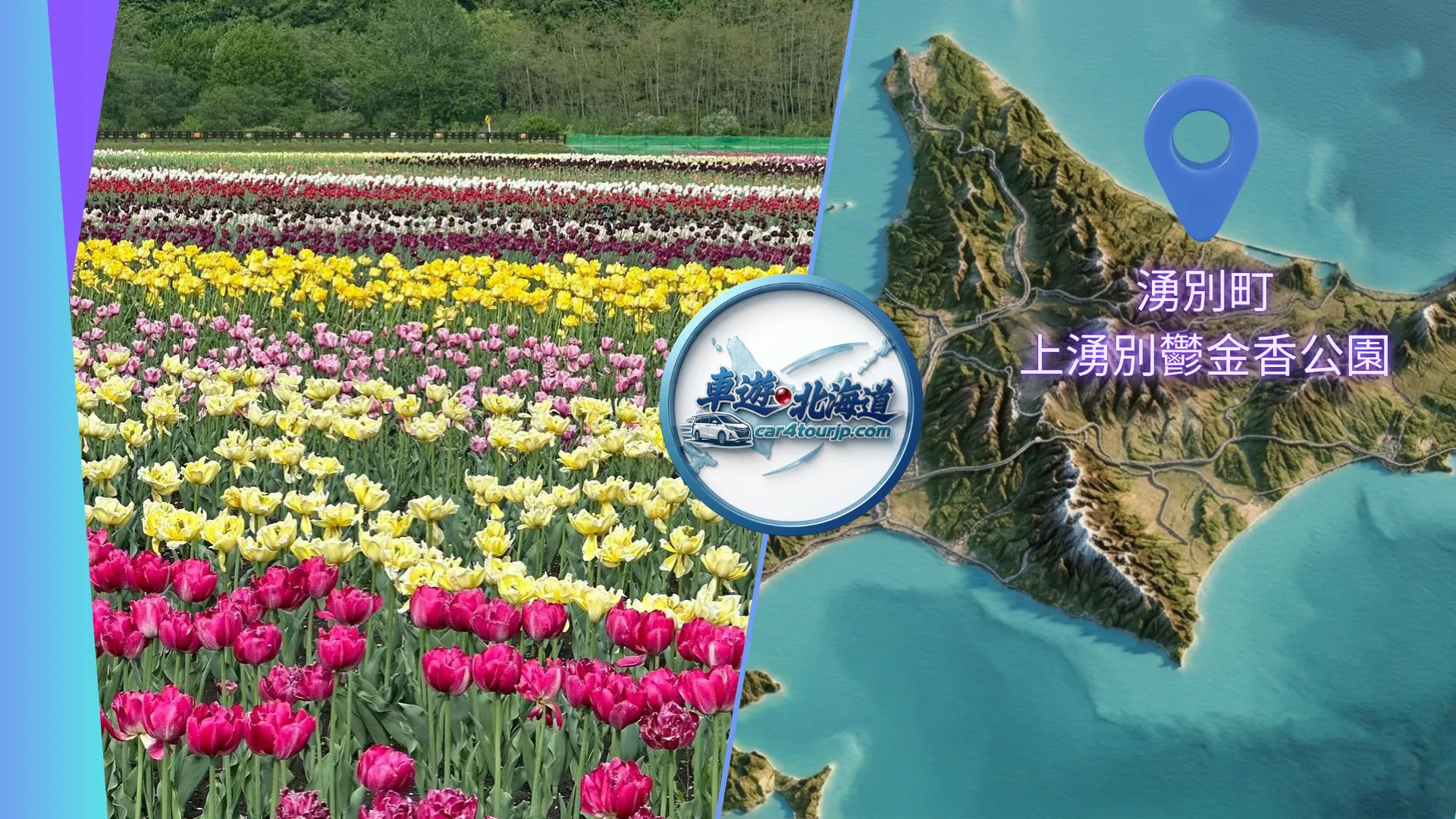 Kamiyubetsu Tulip Park Private Tour: 1.2 Million Blooms by the Okhotsk Sea Dutch Fairy Tale
