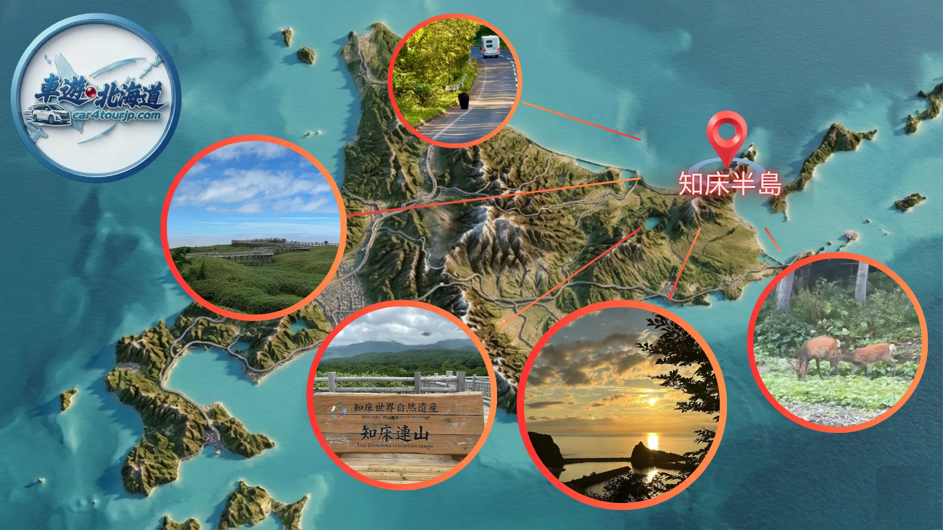 知床-知床半島-深度遊介紹-知床包車推薦-車遊北海道 car4tourjp.com