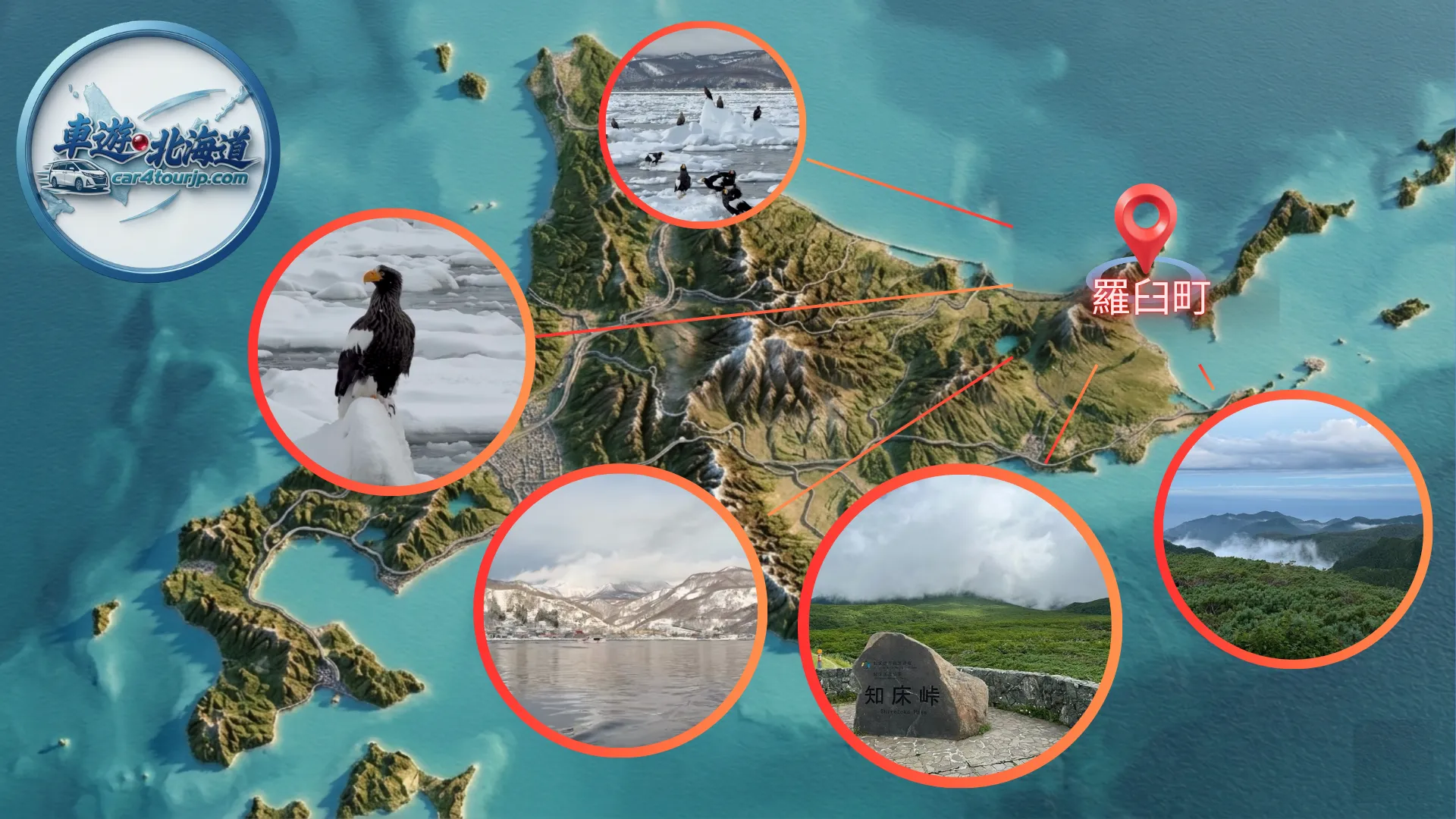 羅臼私人接送-冬季流冰海雕攝影包車-2026北海道道東旅遊