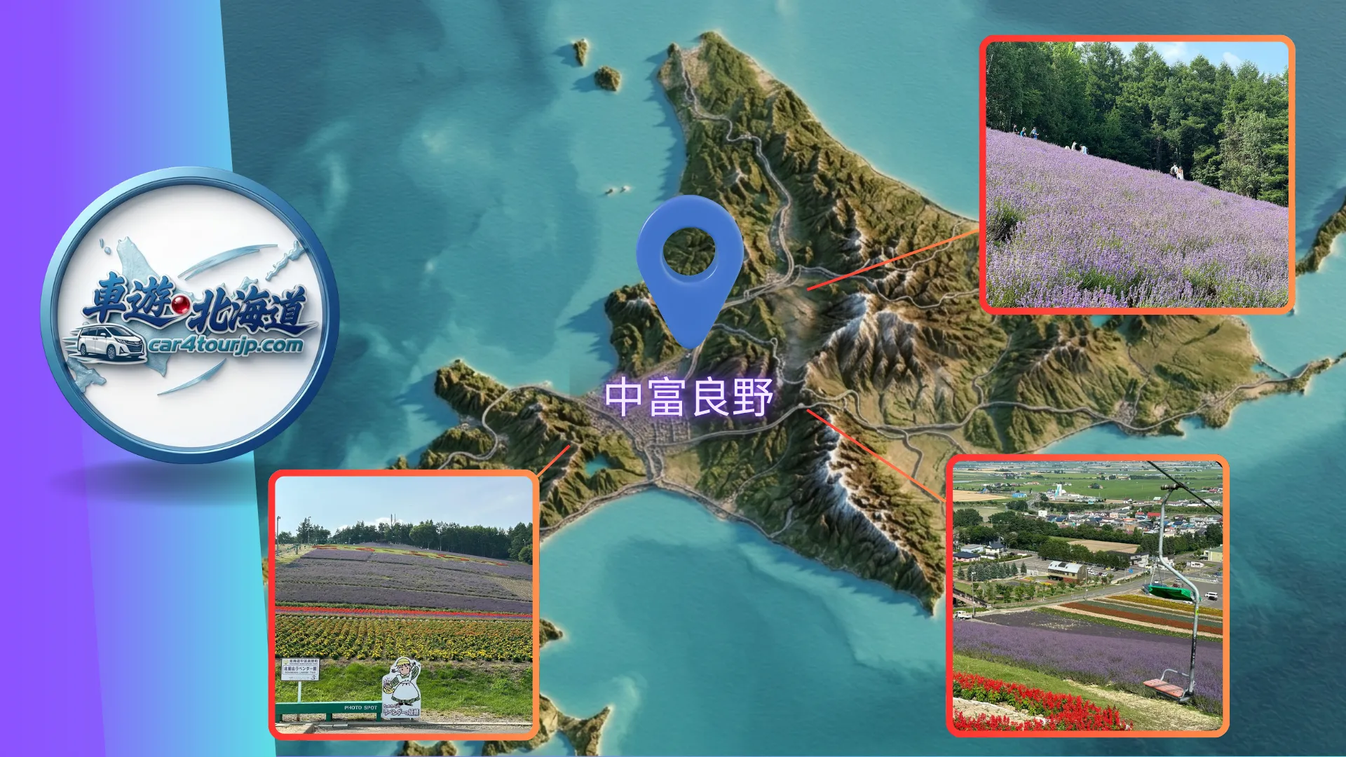 中富良野包車一日遊：浪漫的紫色薰衣草之旅 富田農場、北星山、葡萄農園 景點指南