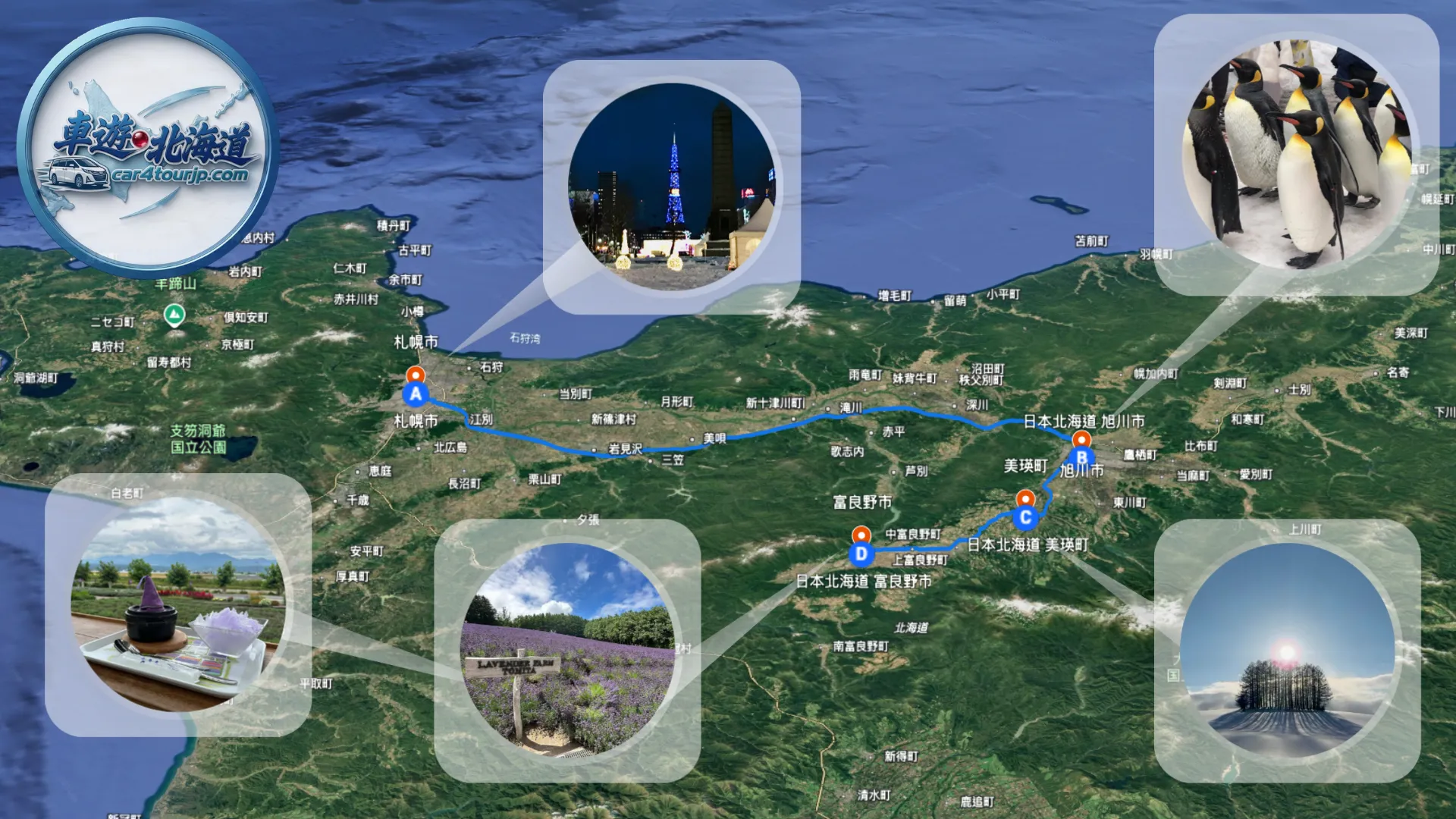 Hokkaido Day Tour: Sapporo to Asahikawa, Biei & Furano Private Car Charter Guide