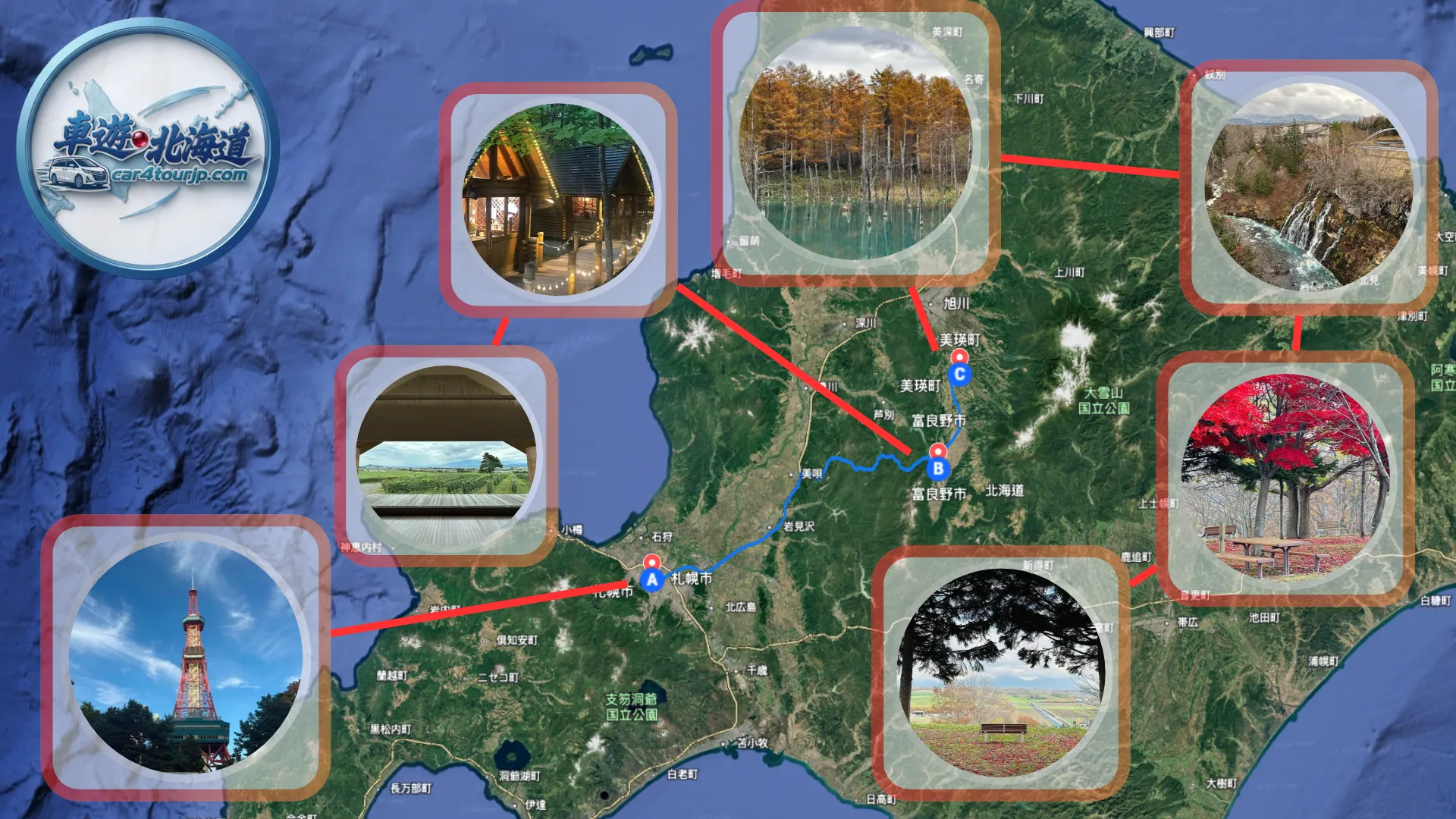[Furano & Biei Autumn Day Tour] Golden Larch Blue Pond, Patchwork Road & Ningle Terrace Private Charter